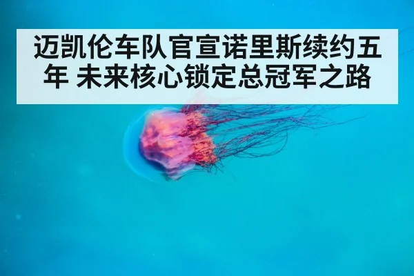 迈凯伦车队官宣诺里斯续约五年 未来核心锁定总冠军之路